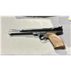 Image 2 : DAISY POWER LINE 717 SINGLE PUMP PELLET PISTOL & DAISY PREMIUM GRADE BB'S