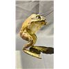 Image 2 : TAXIDERMY FROG (CONDITION ISSUES)