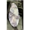 Image 2 : ORTHOCERAS FOSSIL SPECIMEN RETAIL $480
