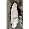 Image 2 : ORTHOCERAS FOSSIL SPECIMEN RETAIL $480