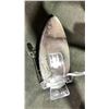 Image 2 : ORTHOCERAS FOSSIL SPECIMEN RETAIL $289.00