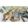 Image 3 : 2 SHELVES OF ASSORTED ITEMS INCLUDING; LEATHER CHAPS, TOOL BELTS, BACK PACKS AND MORE