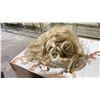 Image 2 : BOX OF PASION FOR FASHION WIGS