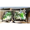 Image 2 : PALLET OF FAUX FLOWERS