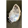 Image 3 : AMMONITE FOSSIL RETAIL $380