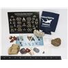 Image 1 : BAG OF FOSSILS