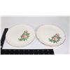 Image 12 : 11 CHINA PLATES ROSES, BLOSSOM TIME ROYAL ALBERT