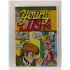 Image 1 : #1379 SEXPLOITATION COMICS GROUP YOUNG LUST #3