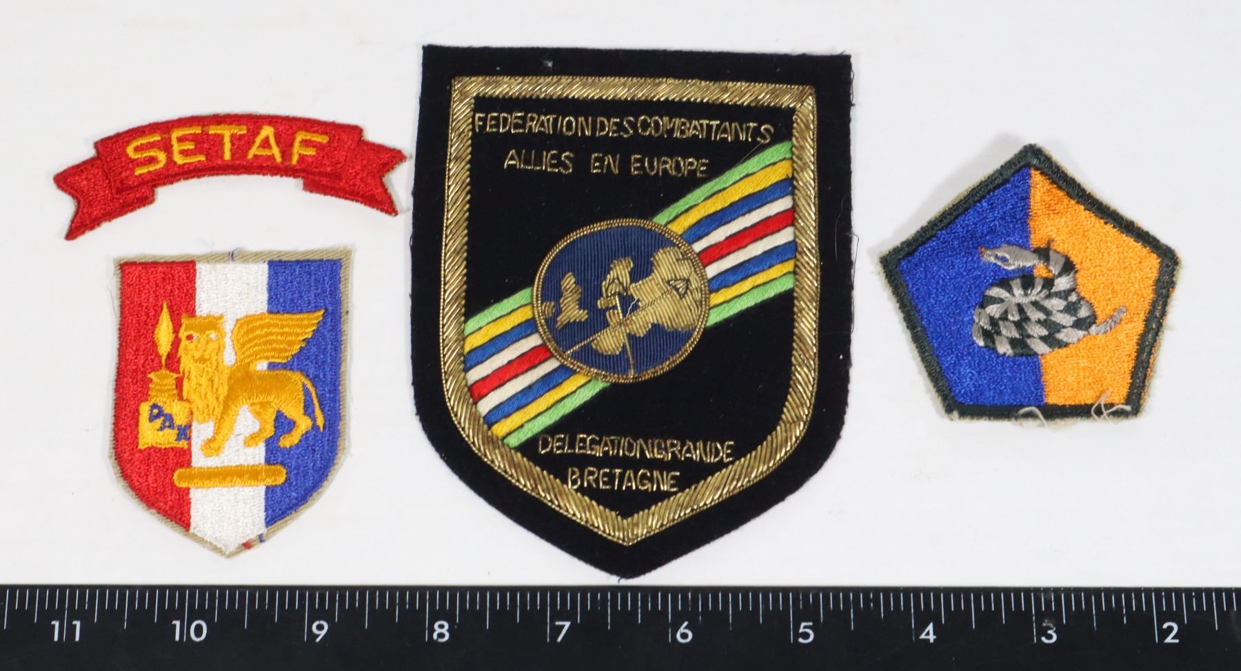 UNITED STATES ARMY UNIT PATCH RATTLE SNAKE SOLD W/ - Test Site