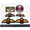 Image 1 : ROYAL CANADIAN AIR FORCE PADDED WING SMALL