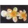 Image 2 : Qty 5 Hard Plastic Large Plumeria Yellow Flower Hair Claws Banana Clips (approx. 4"L)