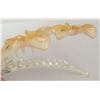 Image 5 : Qty 5 Hard Plastic Large Plumeria Yellow Flower Hair Claws Banana Clips (approx. 4"L)