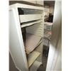 Image 2 : 2 plastic Roll Door Cabinets