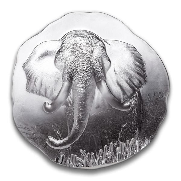 10oz .999 Fine Silver - African Elephant - Round. Detailed.