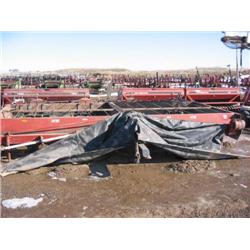 WIC Beet Defoliator - 12-row