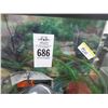 Image 2 : Fish Tank w/Asst. Supplies
