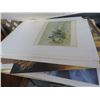 Image 2 : Stack of Unframed Wall Art and Posters
