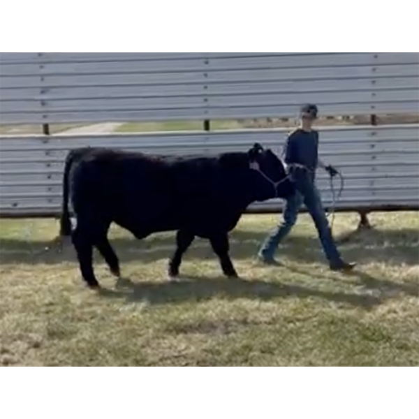 Ben Lehouillier - Doug - Big River Multiple 4-H Club