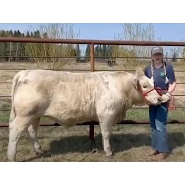 Alix Vaadeland - Moto Moto - Big River Multiple 4-H Club