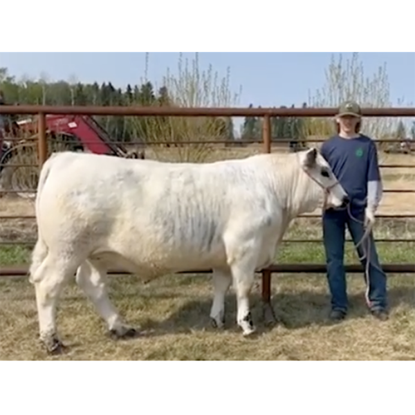 Gauge Vaadeland - Leonard - Big River Multiple 4-H Club