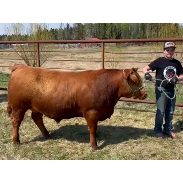 Colton Peterson - Brutus - Big River Multiple 4-H Club