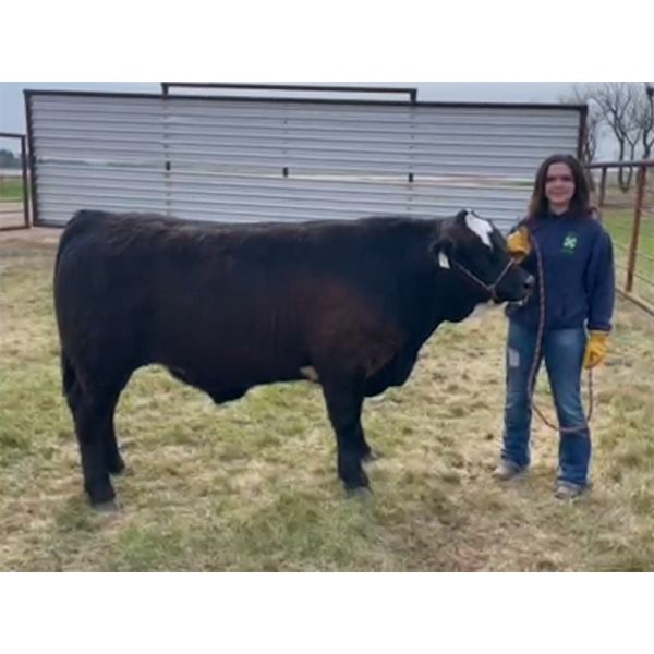 Hayden Peterson - Ferdinand - Big River Multiple 4-H Club