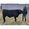 Image 1 : Hayden Peterson - Ferdinand - Big River Multiple 4-H Club