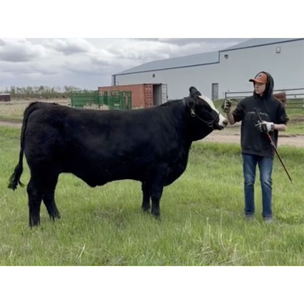 Ethan Gaboury - Rocky - Northern Spirit 4-H Club