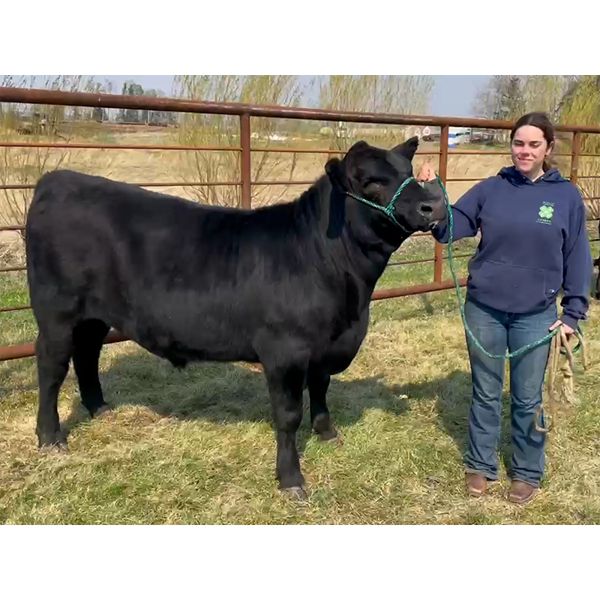 Afton Grimard - Fergus - Big River Multiple 4-H Club