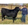 Image 1 : Afton Grimard - Fergus - Big River Multiple 4-H Club