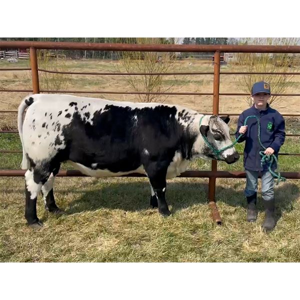 Cole Grimard - Michael Jackson - Big River Multiple 4-H Club