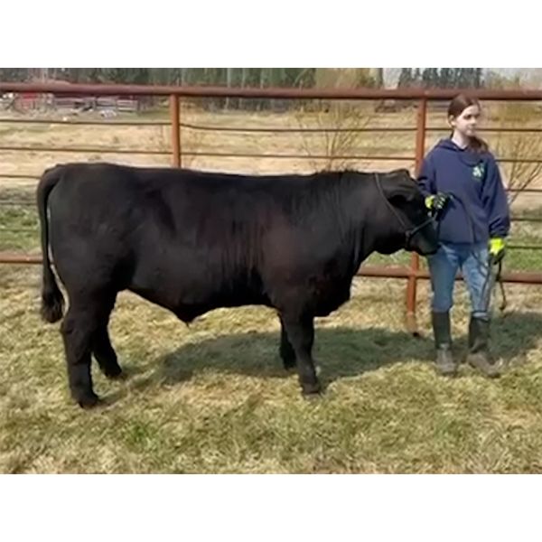 Farryn Grimard - Beavus - Big River Multiple 4-H Club