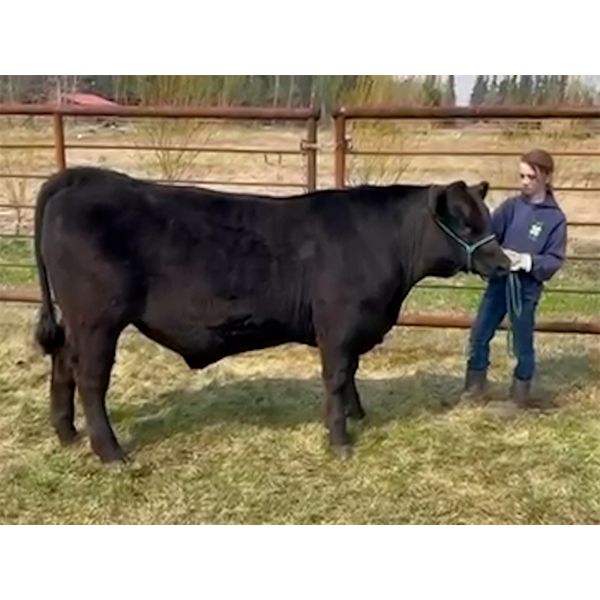 Caybrie Grimard - Diabeto - Big River Multiple 4-H Club