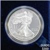 Image 1 : 2004-W Silver Eagle