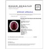 Image 4 : 18K White Gold 15.55ct Ruby & 3.34ct Diamond Ring