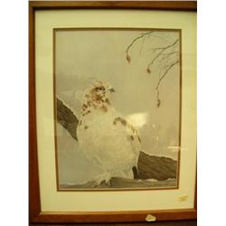 Ptarmigan print - not an original - by Judy Ridedout, double-matted and framed (134)