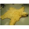 Image 2 : Polar bear rug in excellent condition mounted by Jonah Bothers in late 1960's- approx. 8' 11" left b