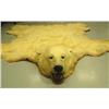 Image 3 : Polar bear rug in excellent condition mounted by Jonah Bothers in late 1960's- approx. 8' 11" left b