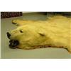 Image 8 : Polar bear rug in excellent condition mounted by Jonah Bothers in late 1960's- approx. 8' 11" left b