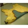 Image 9 : Polar bear rug in excellent condition mounted by Jonah Bothers in late 1960's- approx. 8' 11" left b