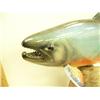 Image 3 : Beautifully carved 21" arctic char by Michael Scott (2)