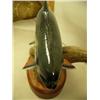 Image 5 : Beautifully carved 21" arctic char by Michael Scott (2)