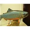 Image 6 : Beautifully carved 21" arctic char by Michael Scott (2)