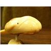 Image 3 : Extremely rare 3.5" bow head whale by Robert Kokuluk in fossilized ivory (2)