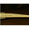 Image 14 : 26.5" old scrimshawed ivory tusk by Robert Sebwenna bottom has map of Siberia and coast of Alaska fr