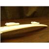 Image 15 : 26.5" old scrimshawed ivory tusk by Robert Sebwenna bottom has map of Siberia and coast of Alaska fr