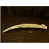 Image 1 : 26.5" old scrimshawed ivory tusk by Robert Sebwenna bottom has map of Siberia and coast of Alaska fr