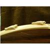 Image 6 : 26.5" old scrimshawed ivory tusk by Robert Sebwenna bottom has map of Siberia and coast of Alaska fr