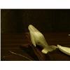 Image 6 : Lot 2: three and a half inch whale bone humpback whale by Kay Felber and 5" ivory kayaker with seal 