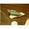 Image 5 : Lot of 2: spotted ivory seal 3.5" long by Roger Silook, Sr. and polar bear hide ring (152)